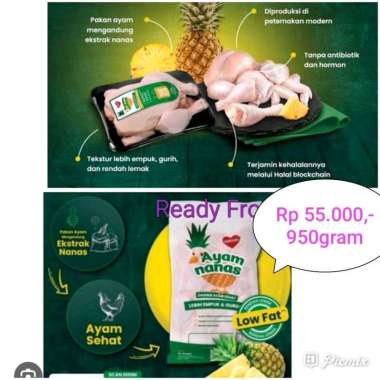 Ayam Nanas