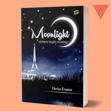 Buku/novel moonlight cintamu begitu bersinar/novel fantasi/novel cinta