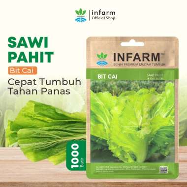 Benih Bibit Unggul Sawi Pahit Bitcai Sayur Sawi Pahit Bulat