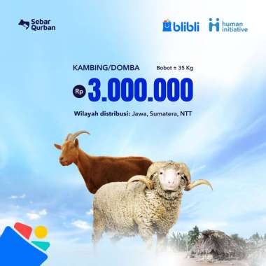 Human Initiative - Qurban Kambing/Domba Super
