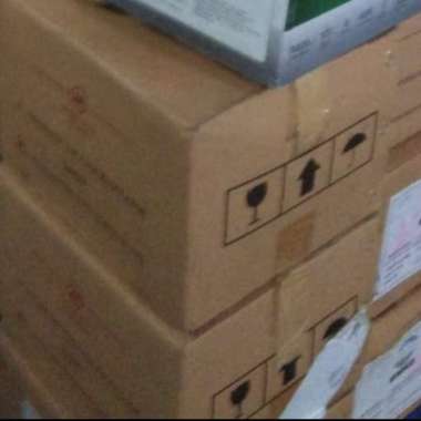 Stabilizer 2000 Watt Stavol Matsumoto 2000N