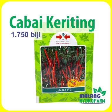 Benih Cabai Keriting Laju F1 1750 butir Cap Panah Merah dataran rendah biji bibit cabe hijau laba hy