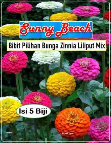 Bibit Pilihan Bunga Zinnia Liliput Mix | Biji Benih Bunga Zinnia
