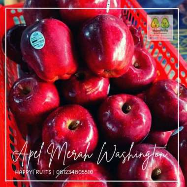 Apel Rrc Merah Jual Apel Merah 1 Kg Termurah - Harga Grosir Terupdate Hari Ini | Blibli