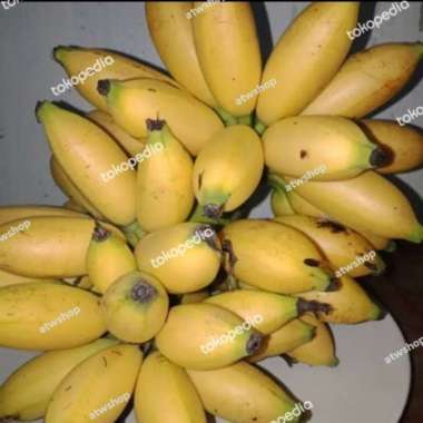 pisang mas 1 tandan