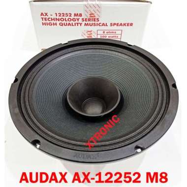 AX-12252 M8 Speaker Audax 12inch 12 inch FR Fullrange AX12252 Multicolor