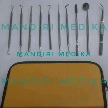 Dental Set isi 10 Dental Diagnostic Set Stainless + Tas