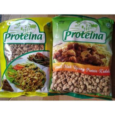 PROTEINA 250 GRAM / DAGING NABATI / VEGETARIAN LX HIJAU