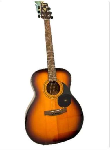 Gitar Akustik Elektrik Fishman Top Solid Segovia NG100 Original