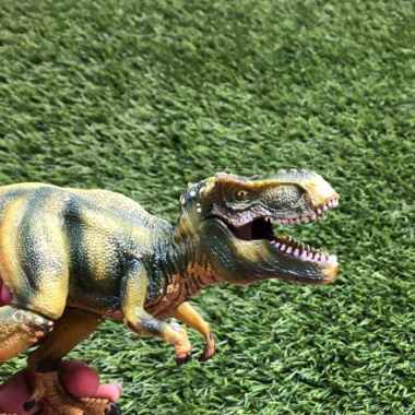 Figure Dinosaurus T Rex / Tyrannosaurus Rex