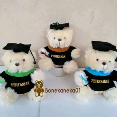 Min. 100pcs - Souvenir Boneka Wisuda Rasfur 15cm