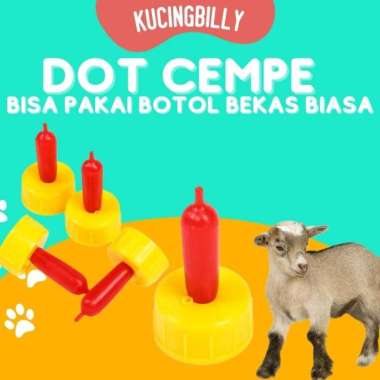Dot cempe kambing domba Dot Cempe