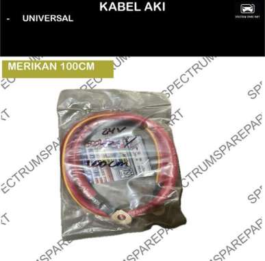 KABEL AKI SKUN - SKUN MERIKAN 100 CM 24V