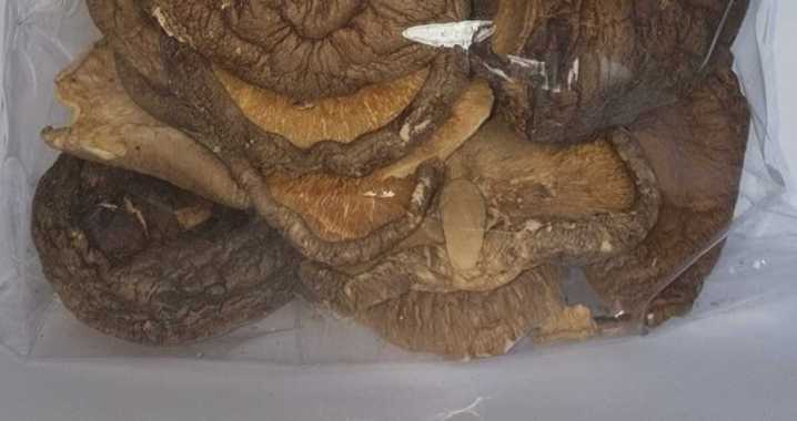 250gr Jamur Hioko - Shitake Kering - Dried Mushroom - Ukuran Besar