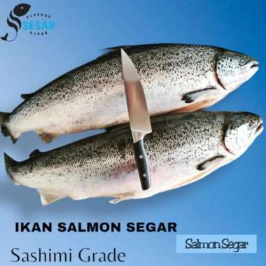Salmon Whole Fresh - Ikan Salmon Norway Frozen