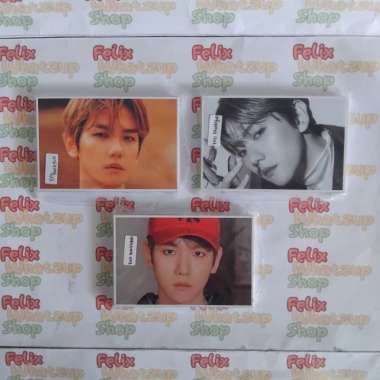 EXO Baekhyun Lomocard Photocard PC Unoffocial