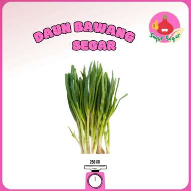 Sayur Segar - Daun Bawang Segar / Green Onion 100 gram