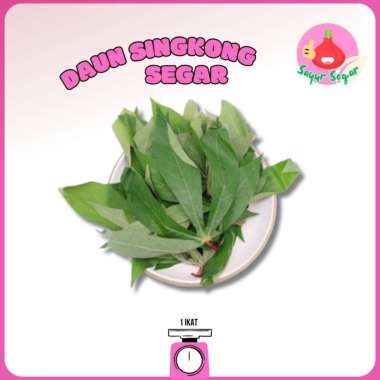 Sayur Segar - Daun Singkong Petik/Cassava Leaves 1 Ikat