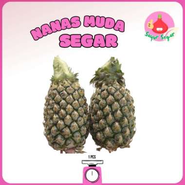 Sayur Segar - Nanas Muda Segar / Young Pineapple 1 pcs