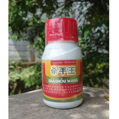 SHASHOUWANG MERAH Herbisida Ampuh Atasi Lulangan, Grinting, Jawan pada Tanaman Padi