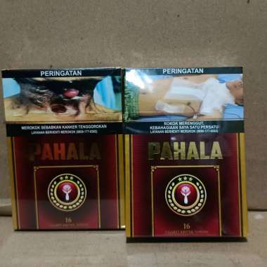 Pahala 16 (16 Batang)