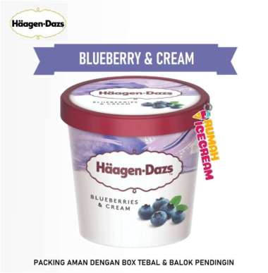 Ice Cream Haagen Dazs Cup 100ml Blueberry Cream