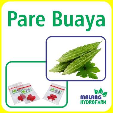 Benih Pare Buaya Unggulan Berkualitas biji bibit repack Paria Bajul hydroponik hidroponik CBM puteri