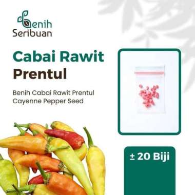 Benih Cabe Rawit Prentul Klaster Bibit Sayuran Cabai Merah 20 Biji
