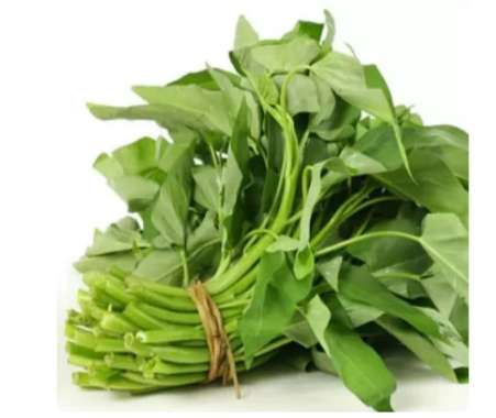 Kangkung Lombok Segar