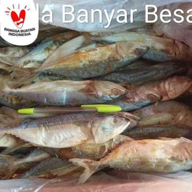 Ikan Asin Peda Banyar Besar Khas Kota Tegal isi 250gram