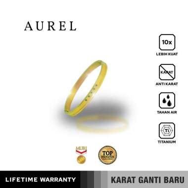 Emrys Premium Bracelet AUREL Real Anti Karat Gelang Titanium Pria dan Wanita GOLD