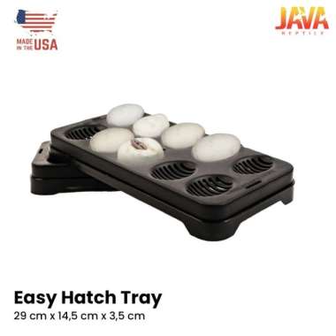 Easy Hatch Tray Inkubasi Telur BP Ball Python Reptil Reptile