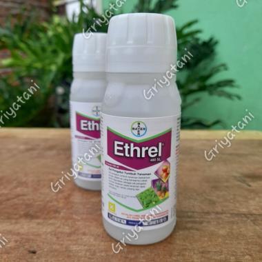Ethrel 480 SL 100mL