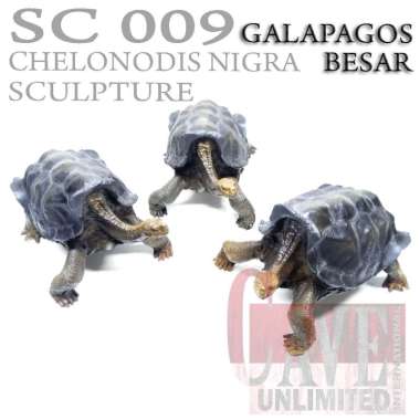 Replika pajangan patung tortoise kura kura Chelonoidis nigra Galapagos BABY SULCATA