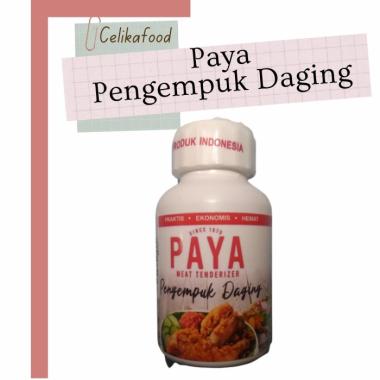 Paya Pengempuk Daging 70gr Meat Tenderizer Bubuk Empuk
