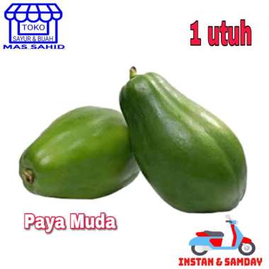 Paya Muda Pepaya Mentah 1 Buah Utuh