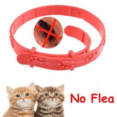 Kalung Anti Kutu Kucing Kalung Kutu Kucing Anti Tick Flea