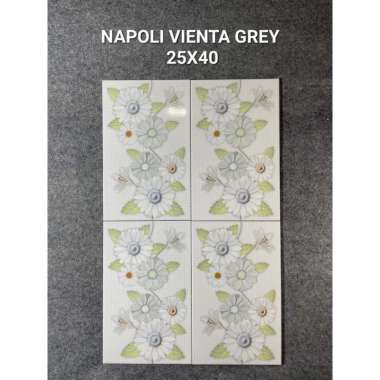 Keramik Napoli 25x40 Vienta Grey