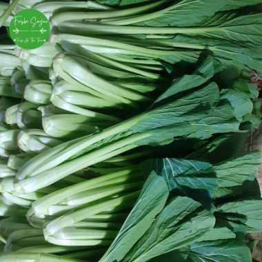 Sawi Hijau / Sawi Ijo /Caisim 1 kg