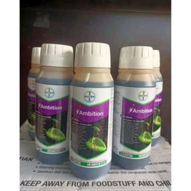 ambition 500ml zat aktivator tamanan