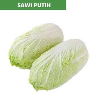Sayur Sawi Putih Segar Murah