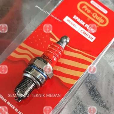 BUSI SPARKPLUG MESIN POTONG BABAT RUMPUT 4 TAK 4TAK PROQUIP GX35 CMR5H