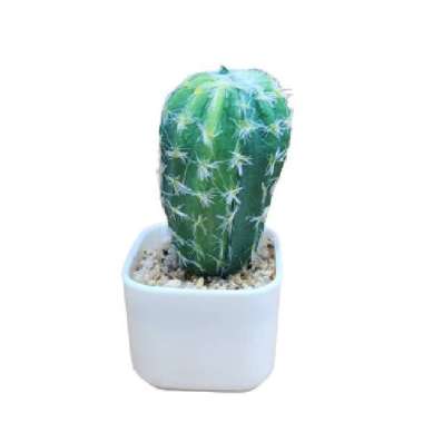 KAKTUS SUKULEN MINI KAKTUS PLASTIK Pohon Kaktus Mini Artificial Plant 2