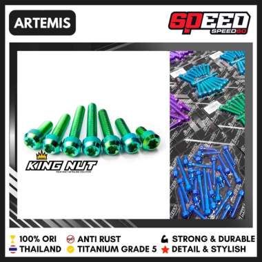 Baut Blok Kawasaki ZX 25 R Baut Titanium Grade 5 Probolt Thailand King Nut Artemis