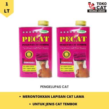 PENGELUPAS CAT TEMBOK PECAT 1 KG