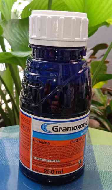 Herbisida Gramoxone 250 ml dari Syngenta