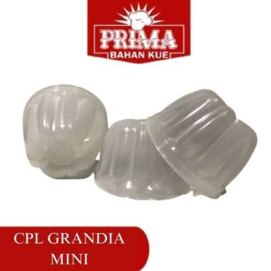 CPD GRANDIA MINI