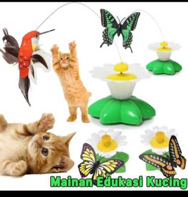 CAT TOY MAINAN HEWAN KUCING KUPU KUPU TERBANG SALE!!!