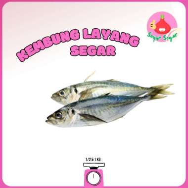 Sayur Segar - Ikan Kembung Layang Segar/Mackerel Flyfish 1 kg