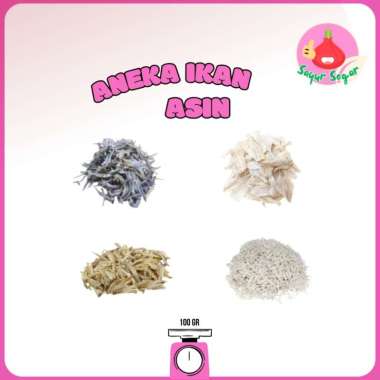 Sayur Segar - macam Macam Ikan Asin 100 gr Peda Putih